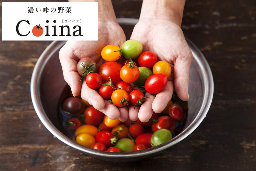 コイーナトマト