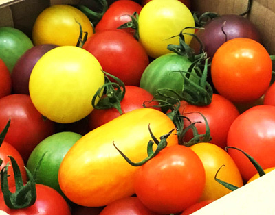 おまかせCoiinaトマト