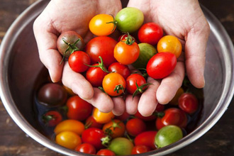 味の濃い野菜「コイーナ」トマト